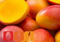 Mango einfrieren