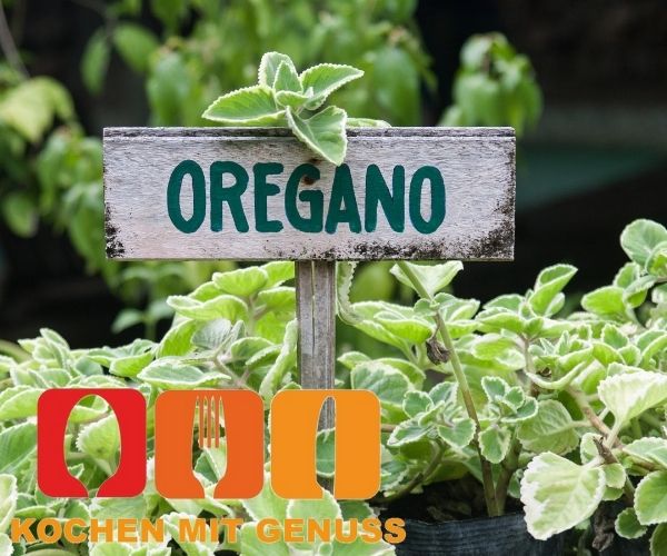 Oregano einfrieren
