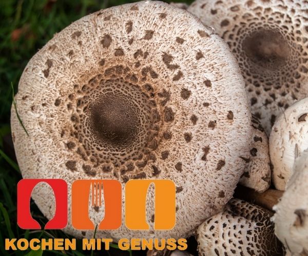 Parasol Auftauen