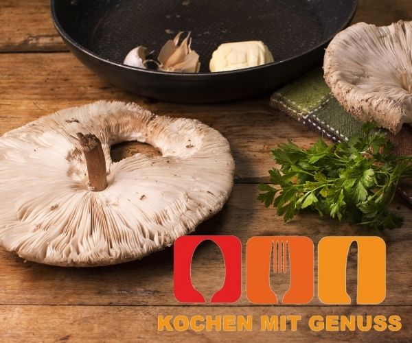 Parasol einfrieren