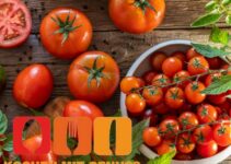 Tomate – Obst oder Gemüse?