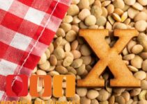 Essen mit X – Vorspeisen, Nachspeisen & Lebensmittel