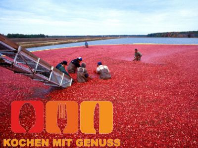 Cranberry und Preiselbeere das gleiche