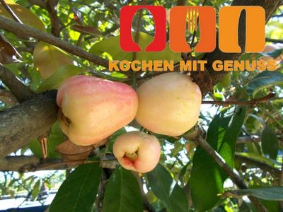 Obstsorten mit Anfangsbuchstabe J