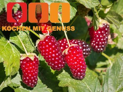 Obstsorten mit Anfangsbuchstabe L