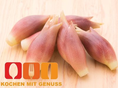 beliebte Gemгуsesorten mit Anfangsbuchstabe M