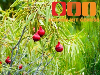 beliebten Obstsorten mit Q am Anfang
