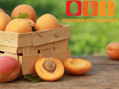 beliebten Obstsorten mit X am Anfang