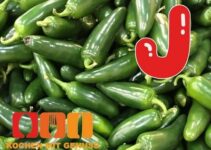 Gemüse mit J