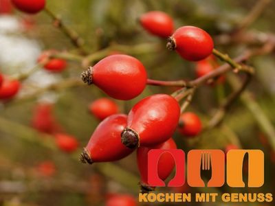 _Hagebutte Naehrstoffe