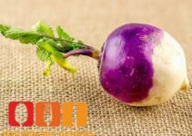 Kann man Mairübchen roh essen?