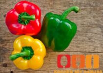 Paprika roh essen, was beachten?