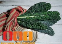 Palmkohl Rezept