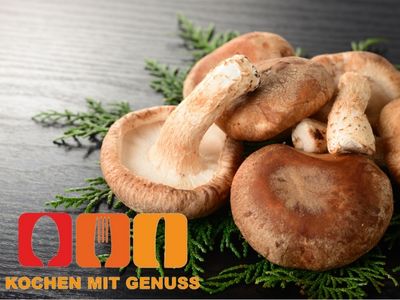 Rezepte mit rohem Shiitake
