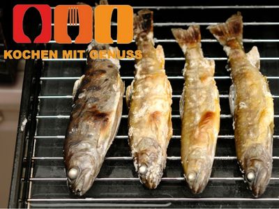 Wie schmeckt Saibling?