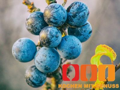 Wie gesund sind Schlehen