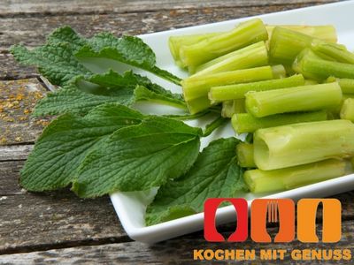 Borretsch einfrieren auftauen So geht´s richtig