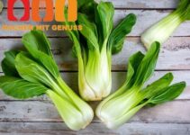 Pak Choi einfrieren auftauen So gehts richtig