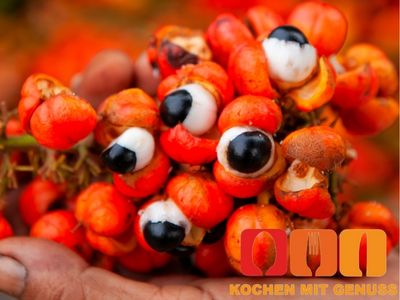 Was ist besser Guarana oder Koffein
