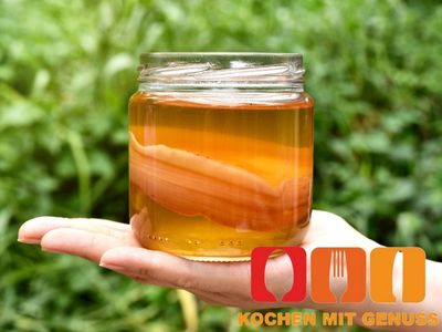 Wie gesund ist Kombucha