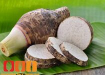 Was ist Taro?