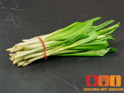 Baerlauch im Vergleich Unterschiede zu anderen Kraeutern
