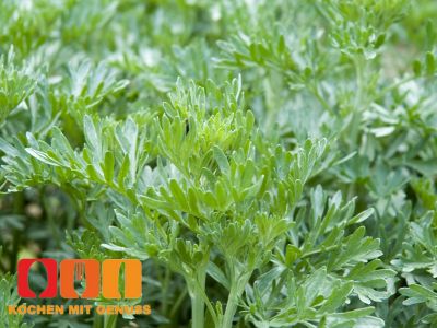 Die aromatischen Noten des Wermuts