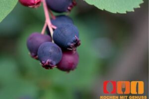 Wie schmeckt Juneberry?
