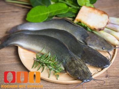 Wie schmeckt Wels im Vergleich zu anderen Fischen